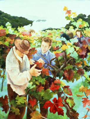 Grape Pickers, 1996