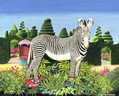 Zebra in a Garden, 1977