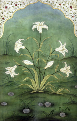 White Lilies