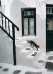 Chat grec