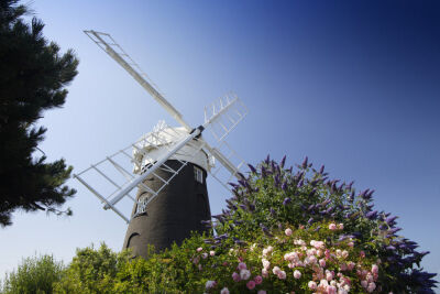 Norfolk Windmill I