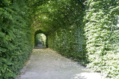 The Alnwick Garden I