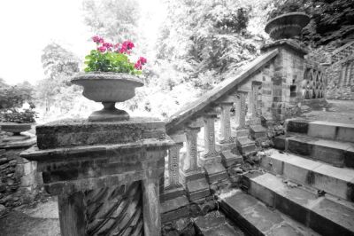 Victorian Garden I