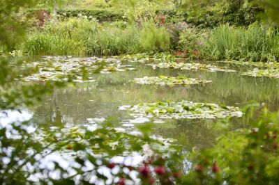 Monet's Garden, Giverny