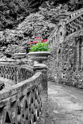 Victorian Garden III