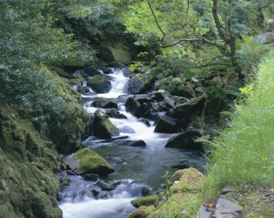 Mountain Stream - Snowdonia