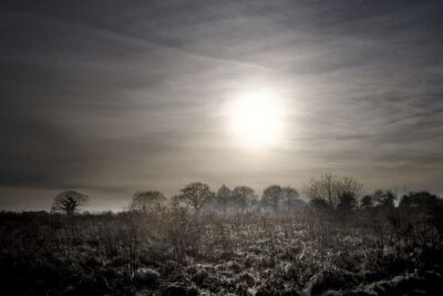 Winter Sun