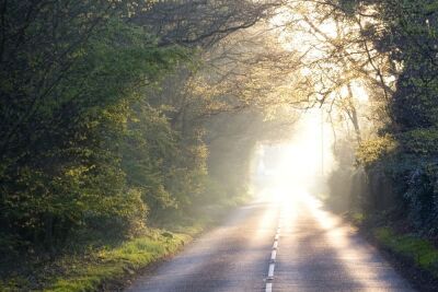 Sunlight, English Lane