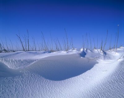 Snow Drifts