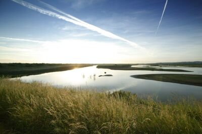 Dawn Marshes