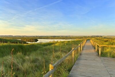 Titchwell Marshes - Norfolk