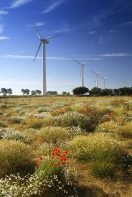 Wind Turbines - Norfolk