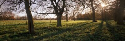 Norfolk Winter Landscape