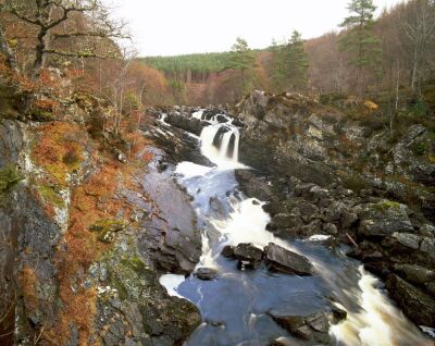Rogie Falls - Scotland
