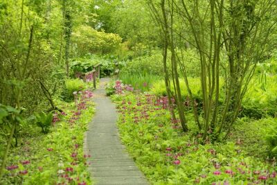 Fairhaven Garden, Norfolk