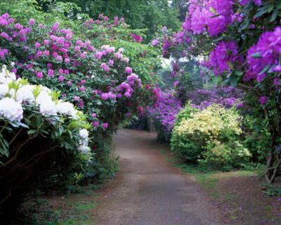 Sheringham Park Norfolk