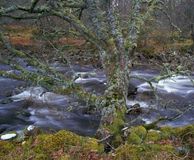 River Talladale, Highlands, Scotland