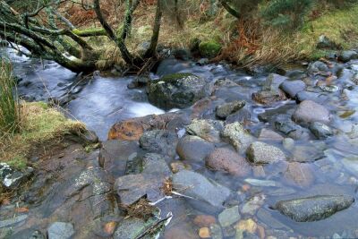 Burn, Perthshire, Scotland