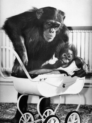 When you're a baby in a pram